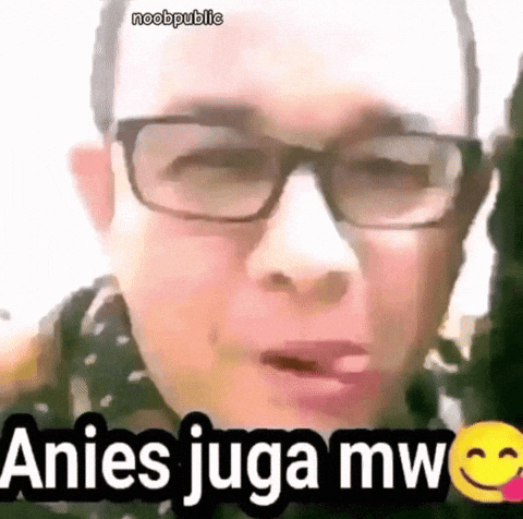 Anies GIF
