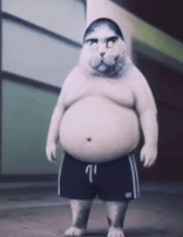 Folk Cat GIF