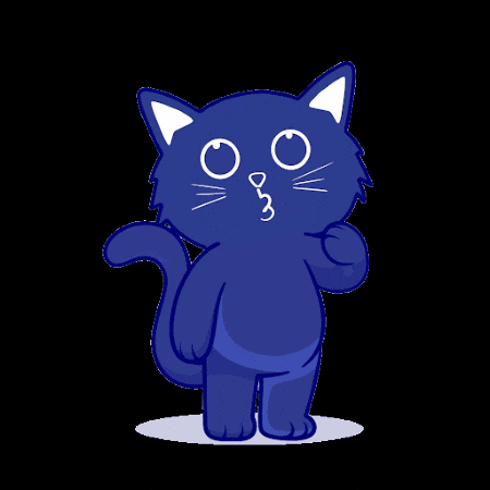 CrazyCat Transfer GIF