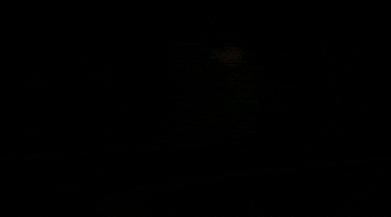 Long Hair Apple GIF