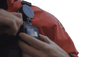 Reeloq Sticker