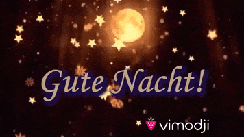 Gute Nacht GIF by Vimodji