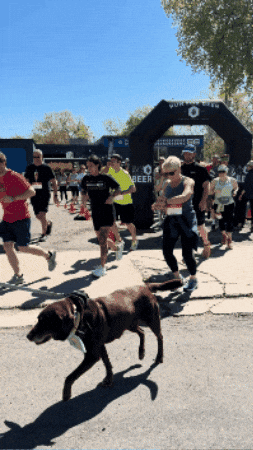 Brewery Running Series GIF by USBREWERYRUN