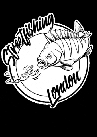 StreetfishingLondon sfl perch perchfishing lurefishing GIF