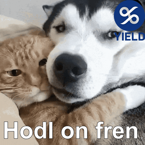 Hodl Crypto GIF by YIELD