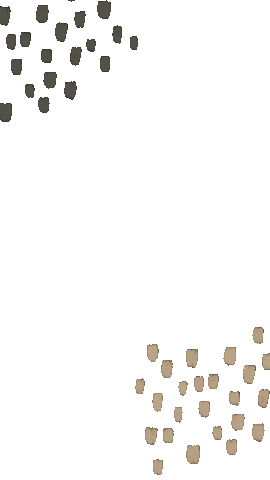 The Lang Co. Sticker