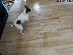 source.gif