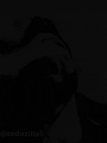 Sedozilla GIF