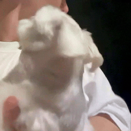 Parkjungsu GIF