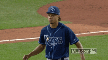 Tampa Bay Rays Yes GIF by MLB