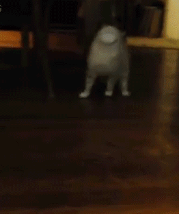 dont