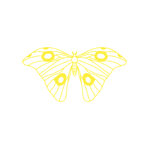Msc Sticker