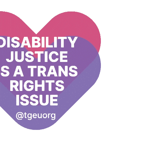 Trans Rights Tdov Sticker by Trans Europe and Central Asia