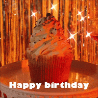 Happy Birthday Party GIF by zoommer