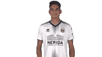 Sticker by AD Merida