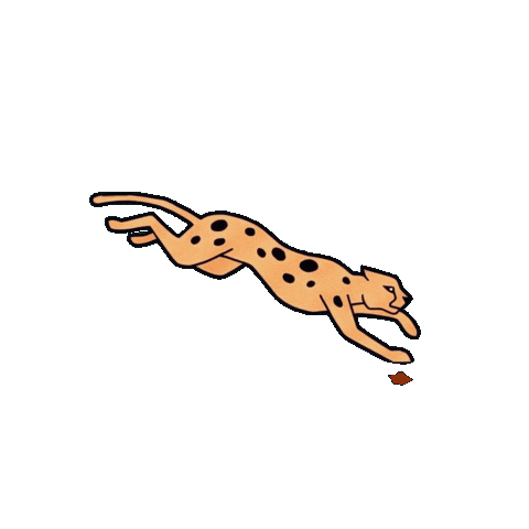 Zumba Cheetah Sticker by Zumba Wear Europe