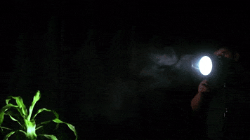 Tools420 GIF