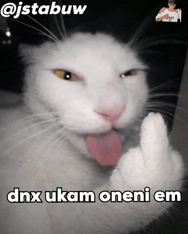 Uzbek Uzb GIF