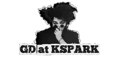 Kspark Sticker