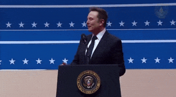 Elon Musk GIF