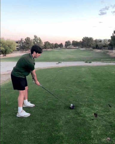 Hole In One Golf GIF