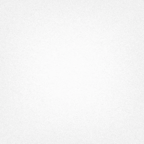 Women's Society Cyberjutsu GIF