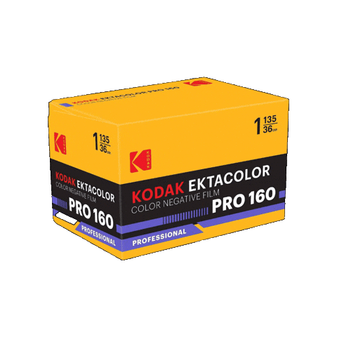 Film Photography Sticker by Kodak