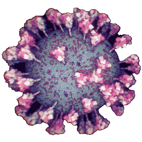 Nanographics Sticker