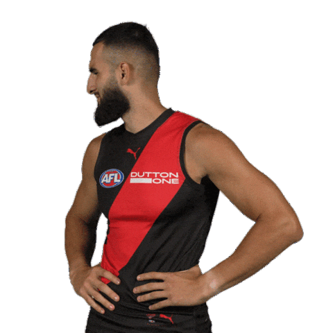 Dons Bombers Sticker by Essendon FC