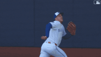 Blue Jays Baseball GIF by Toronto Blue Jays