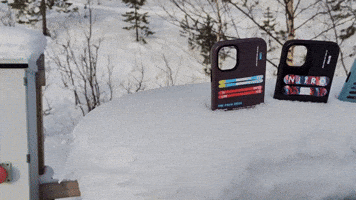 GIF by Skiingcreed