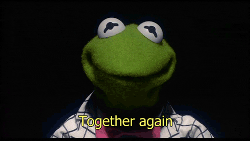 kermit the frog muppets GIF