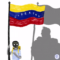 south america venezuela GIF by Camdelafu