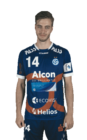 TV Großwallstadt Sticker