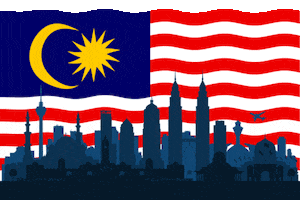 Kuala Lumpur Malaysia GIF by ninjavanmalaysia