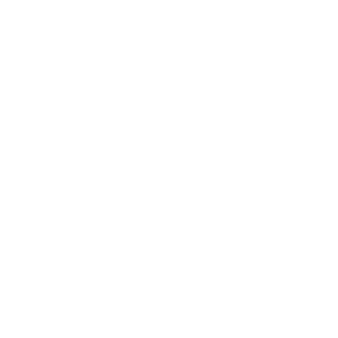 Mister Gadget Sticker