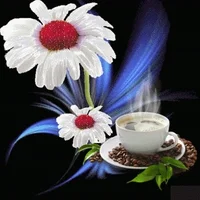 200w.webp?cid=3640f6095be0bb4c5036586141