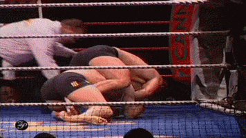 Submission GIF by flograppling