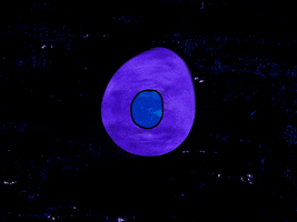 Animation GIF