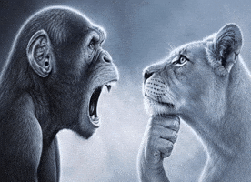 Monkey Lion GIF