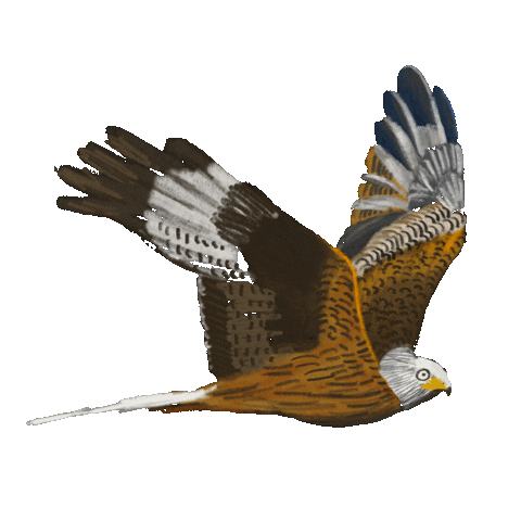 Runnymede National Trust Sticker