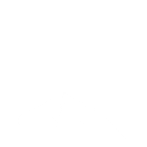 Beer Cheers Sticker by craftfoodhalls