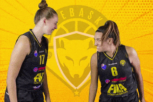 Marta Verona GIF by lupebasket