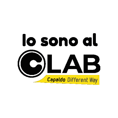 A. Capaldo S.p.A. Sticker