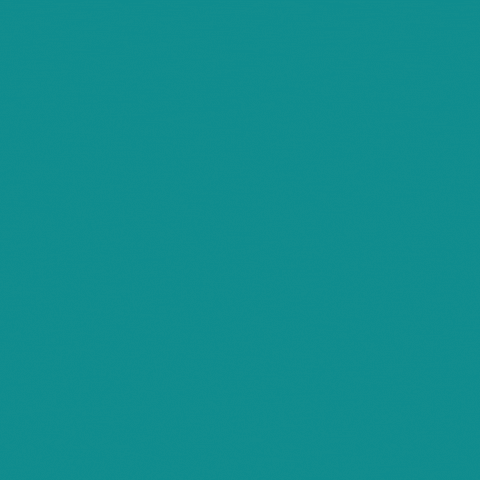 JonkoLovers GIF