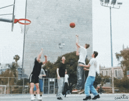 Coertis GIF