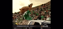 Saskatchewan Roughriders Cfl GIF