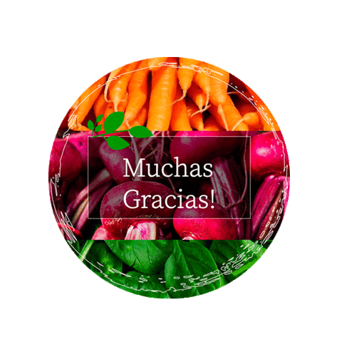 Thanks Gracias Sticker