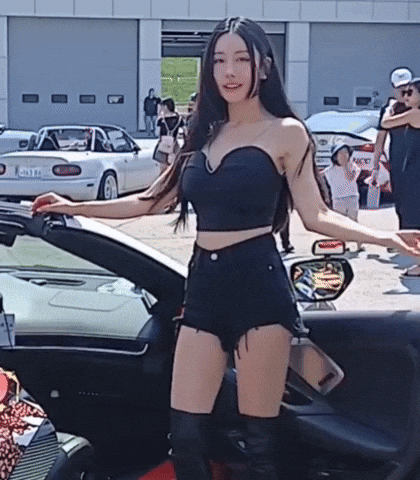 Model GIF