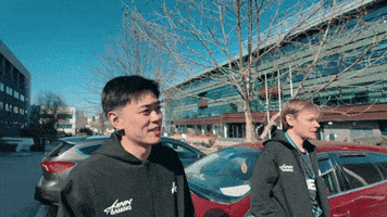 Ws GIF by Aurora Gaming